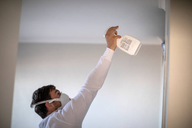 Best Local Mold Removal Service  in Country Clu, FL