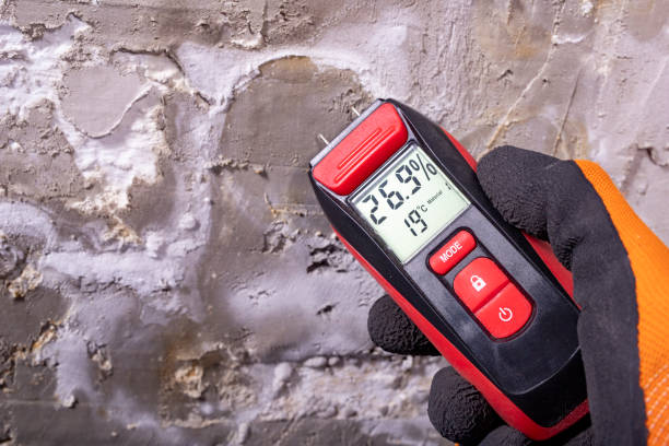 Best Home Mold Removal  in Country Clu, FL